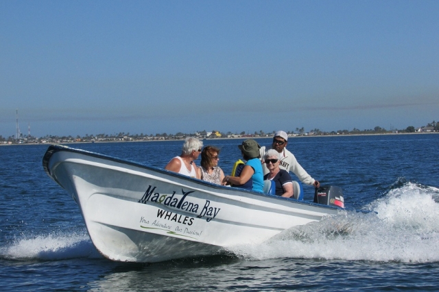 Excursiones de avistamiento